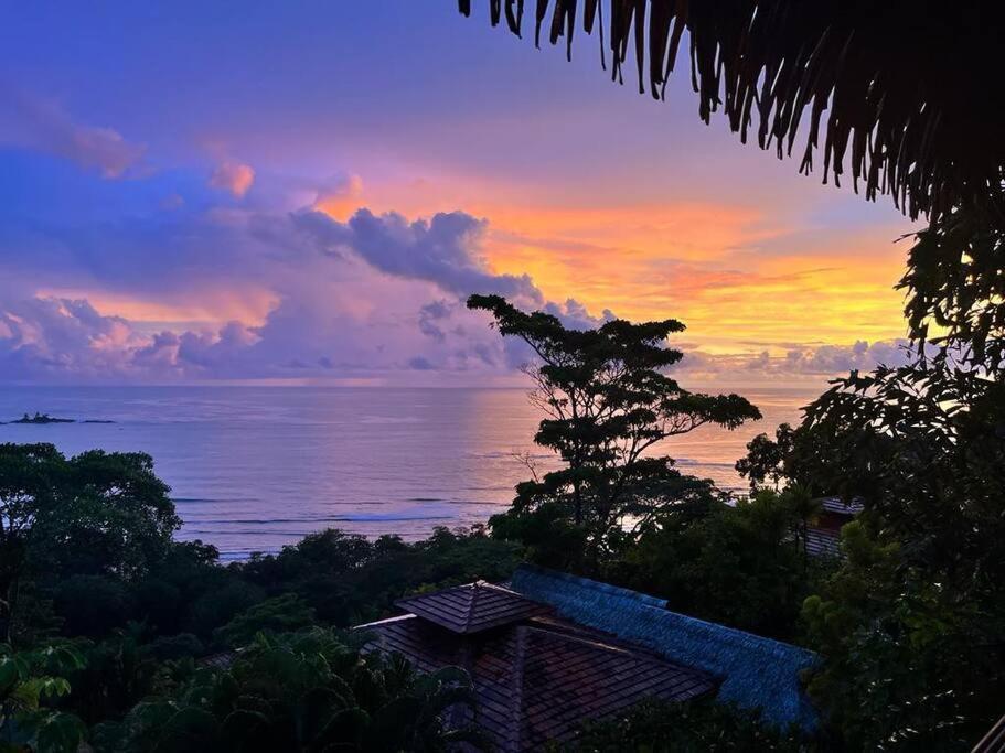 Villa Amor Del Mar With Breathtaking View Of Ocean & Jungle โดมินิกัล ภายนอก รูปภาพ