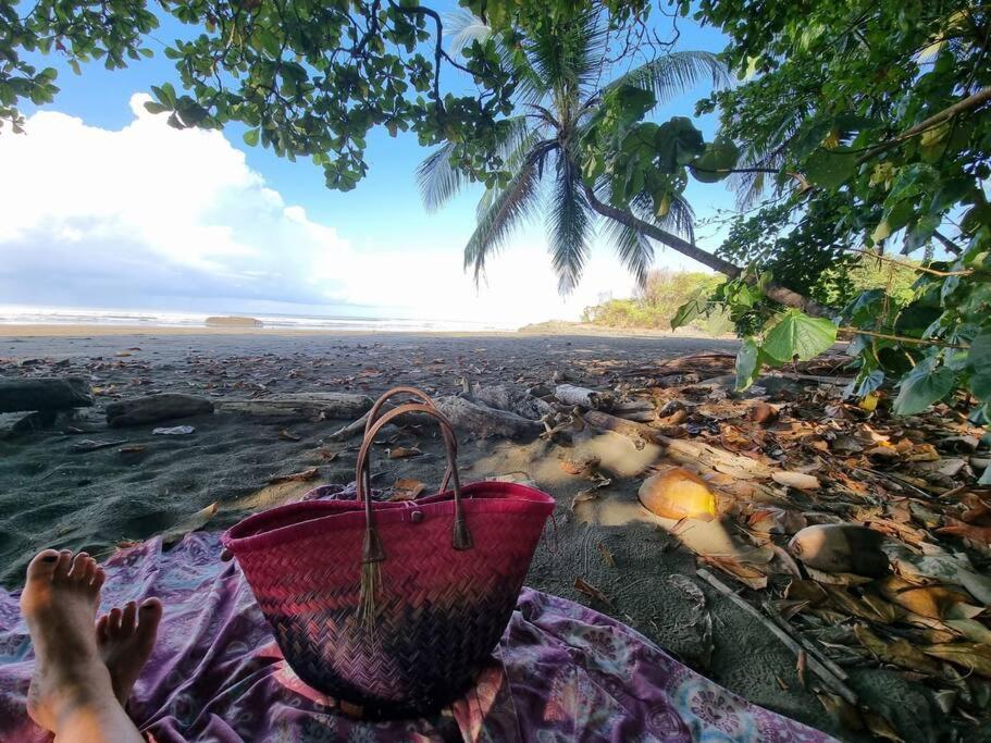 Villa Amor Del Mar With Breathtaking View Of Ocean & Jungle โดมินิกัล ภายนอก รูปภาพ