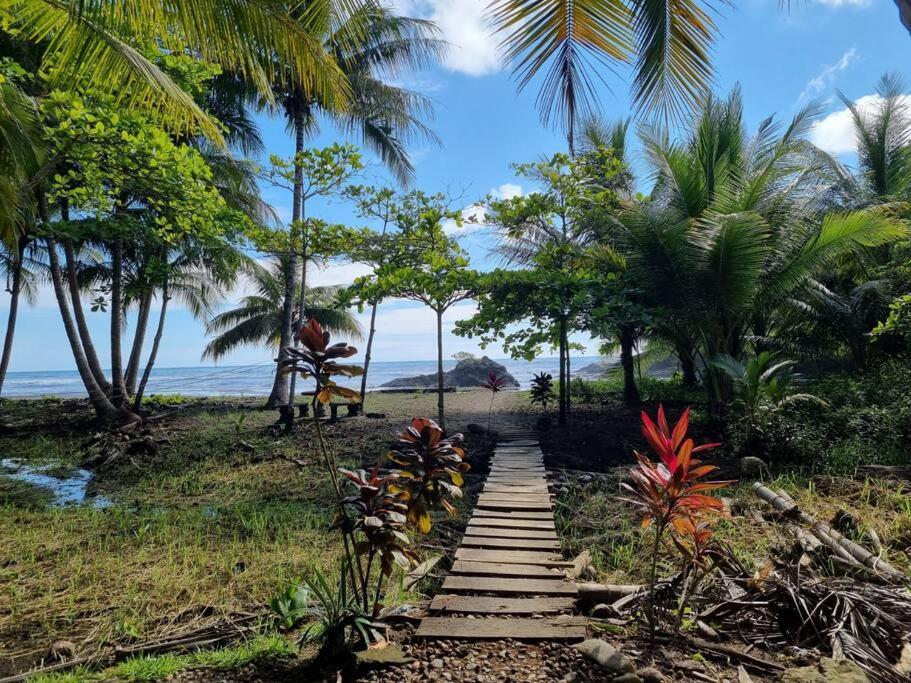 Villa Amor Del Mar With Breathtaking View Of Ocean & Jungle โดมินิกัล ภายนอก รูปภาพ