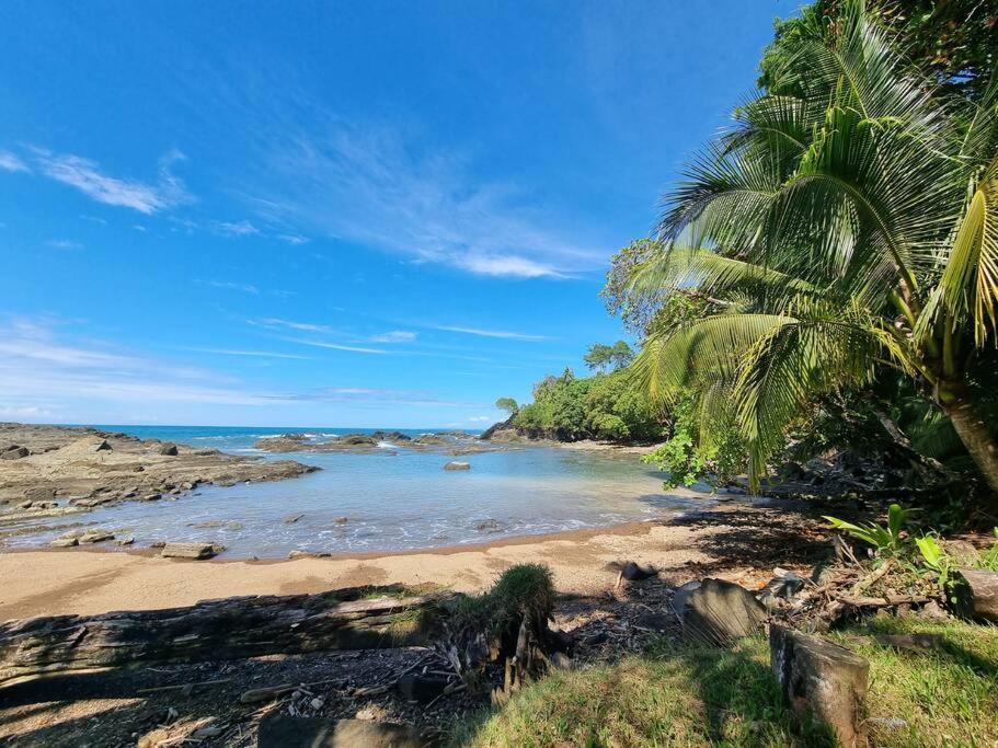 Villa Amor Del Mar With Breathtaking View Of Ocean & Jungle โดมินิกัล ภายนอก รูปภาพ