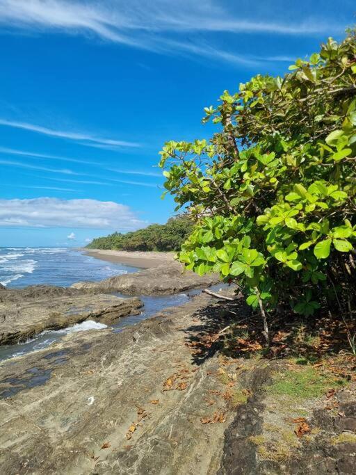 Villa Amor Del Mar With Breathtaking View Of Ocean & Jungle โดมินิกัล ภายนอก รูปภาพ