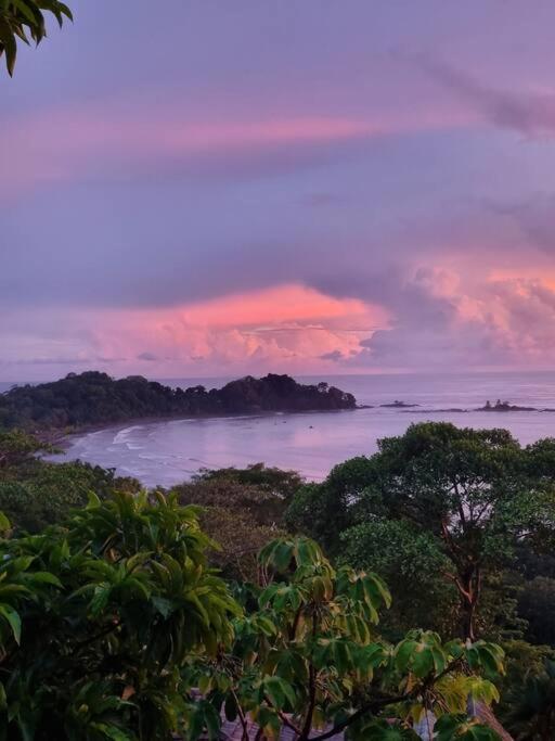 Villa Amor Del Mar With Breathtaking View Of Ocean & Jungle โดมินิกัล ภายนอก รูปภาพ