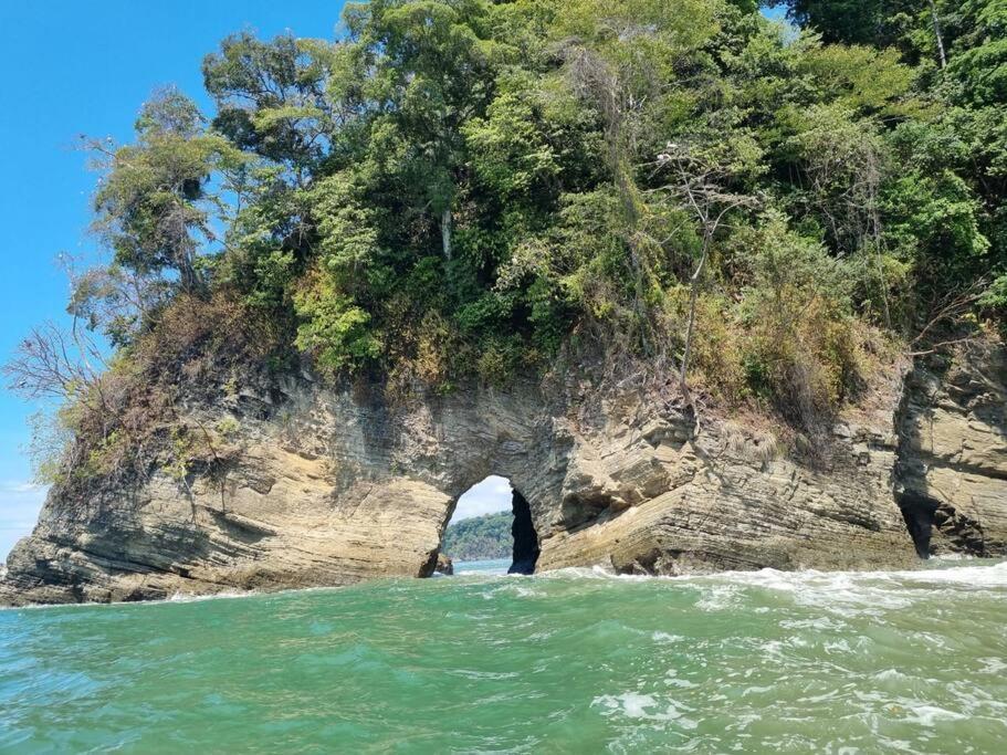 Villa Amor Del Mar With Breathtaking View Of Ocean & Jungle โดมินิกัล ภายนอก รูปภาพ